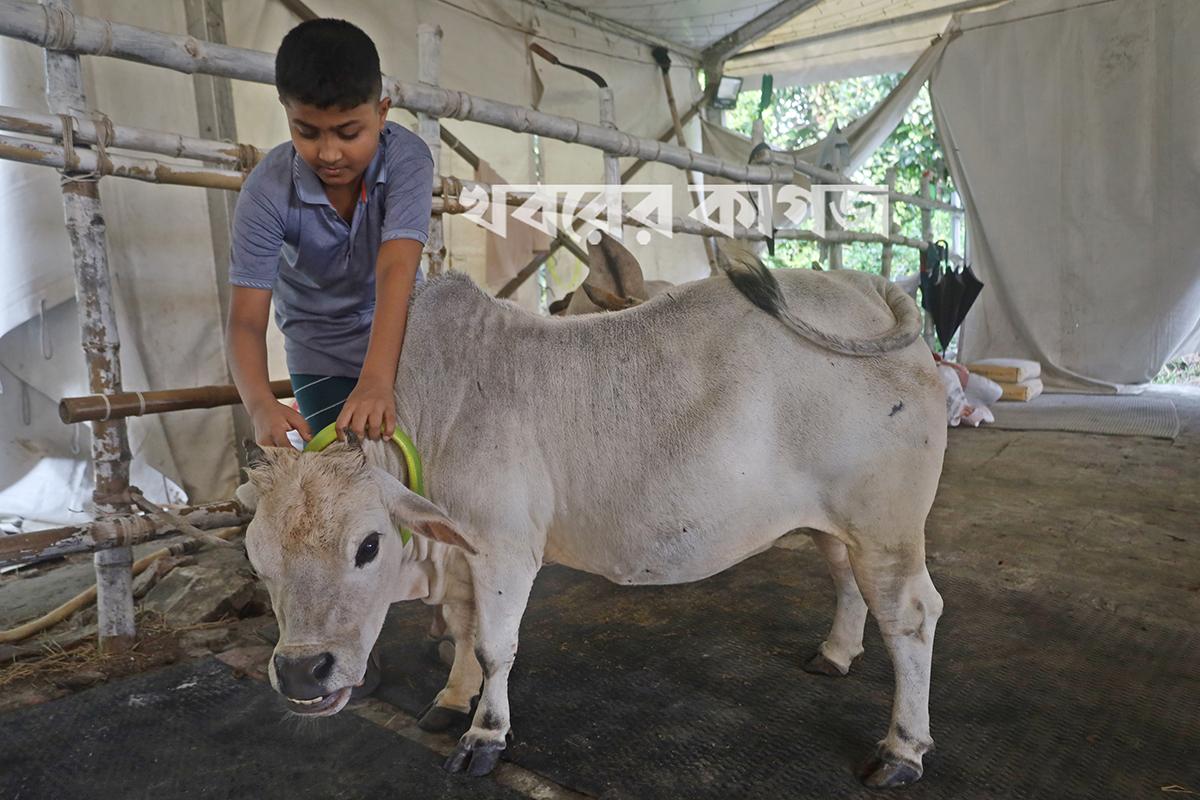 হাতিরঝিল